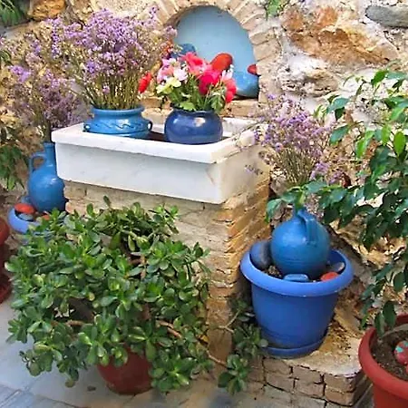 Eleftheria * Paro