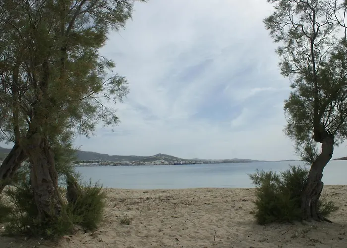 ελευθερία Ξενοδοχείο Πάρος